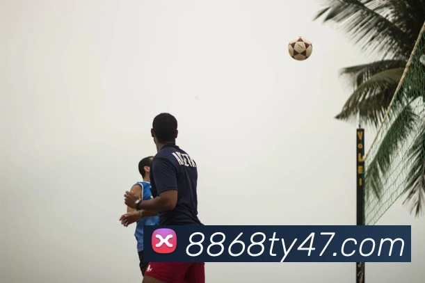 8868体育平台生态图